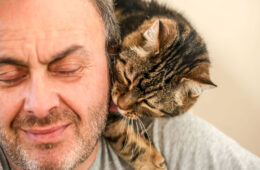 A cute tabby cat licking the beard of his owner, Why Does My Cat Eat And Chew My Hair?