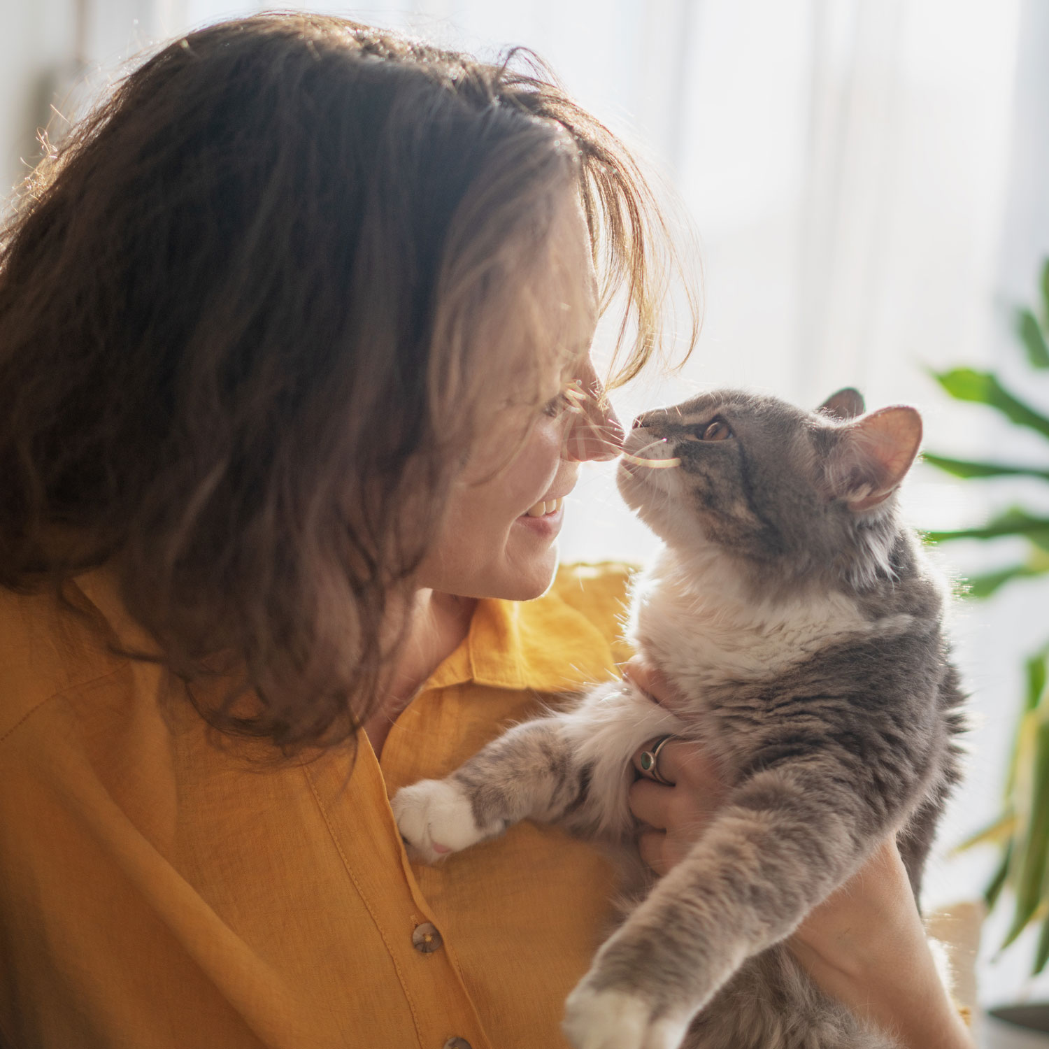 A woman holding her cat close to her nose to nose