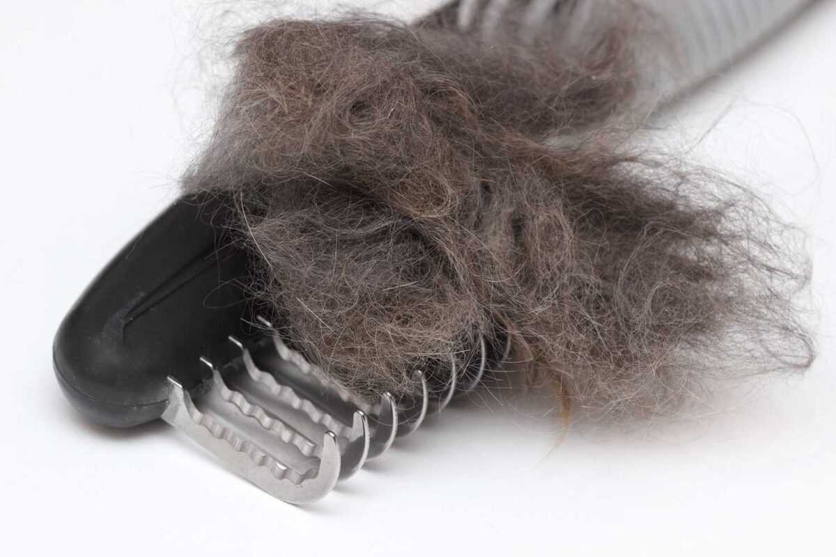 Matted wool trimmer tool for cat grooming