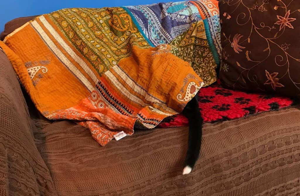A black kitty is hiding under the blanket but the tail is sticking out.