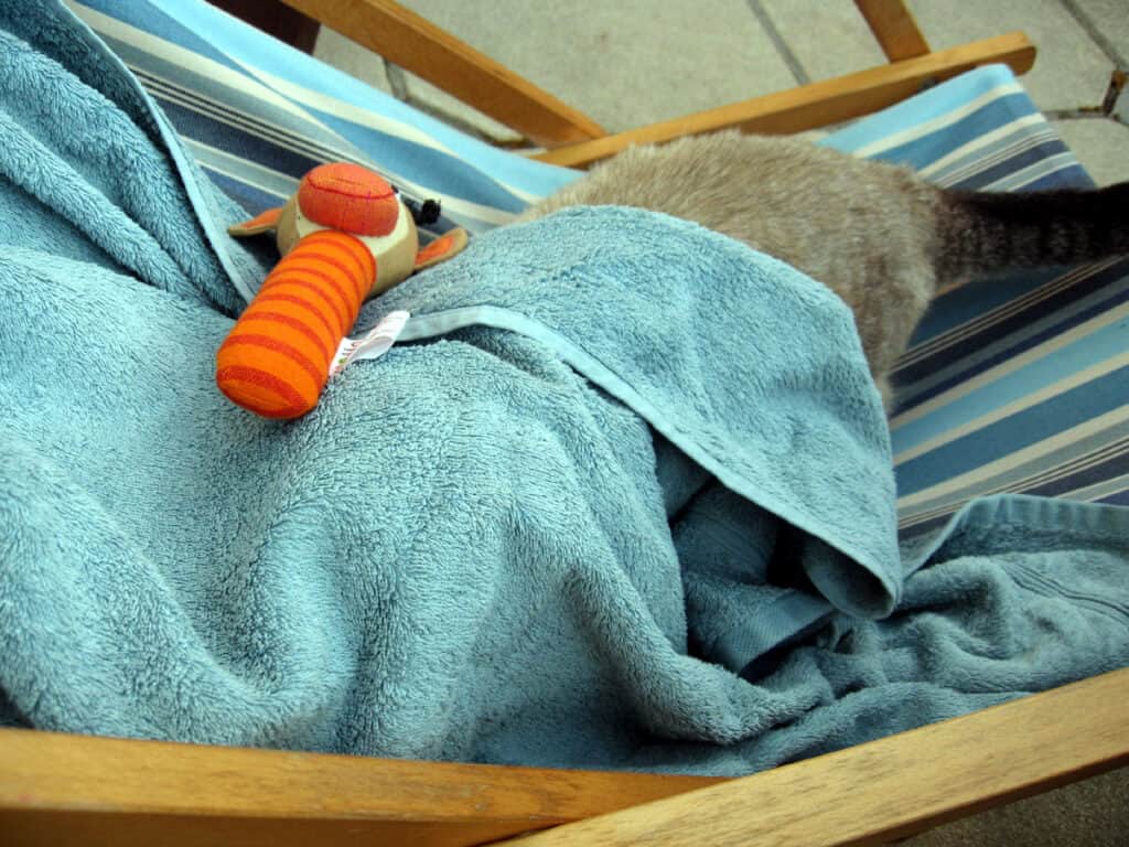 A grey cat is lying underneath a blue blanket