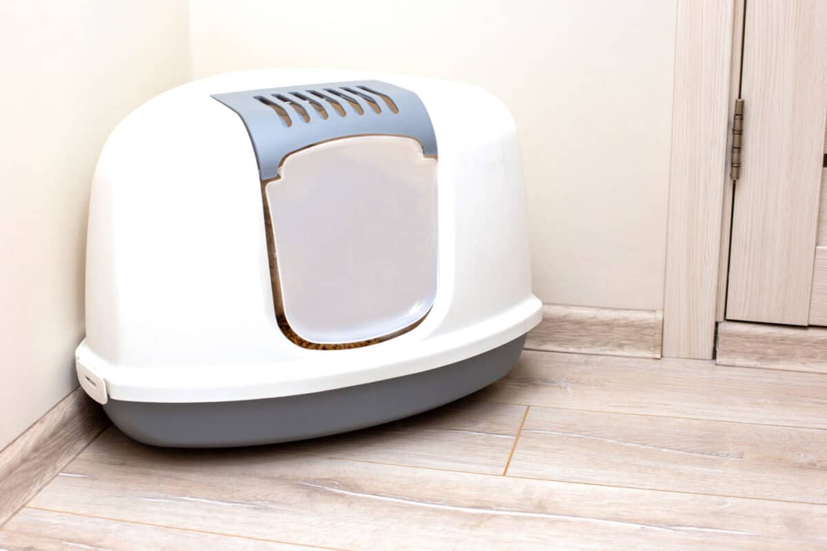 Covered litter box in corner of a room 