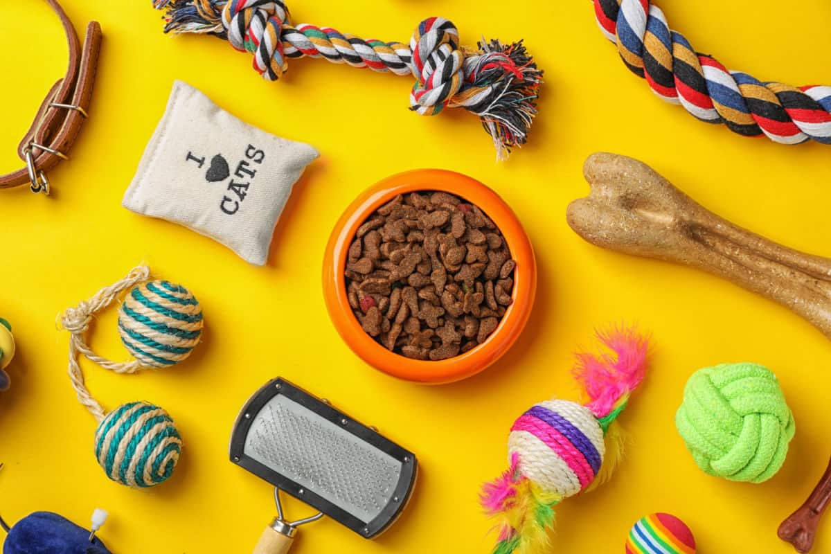 cat accessories and foods
