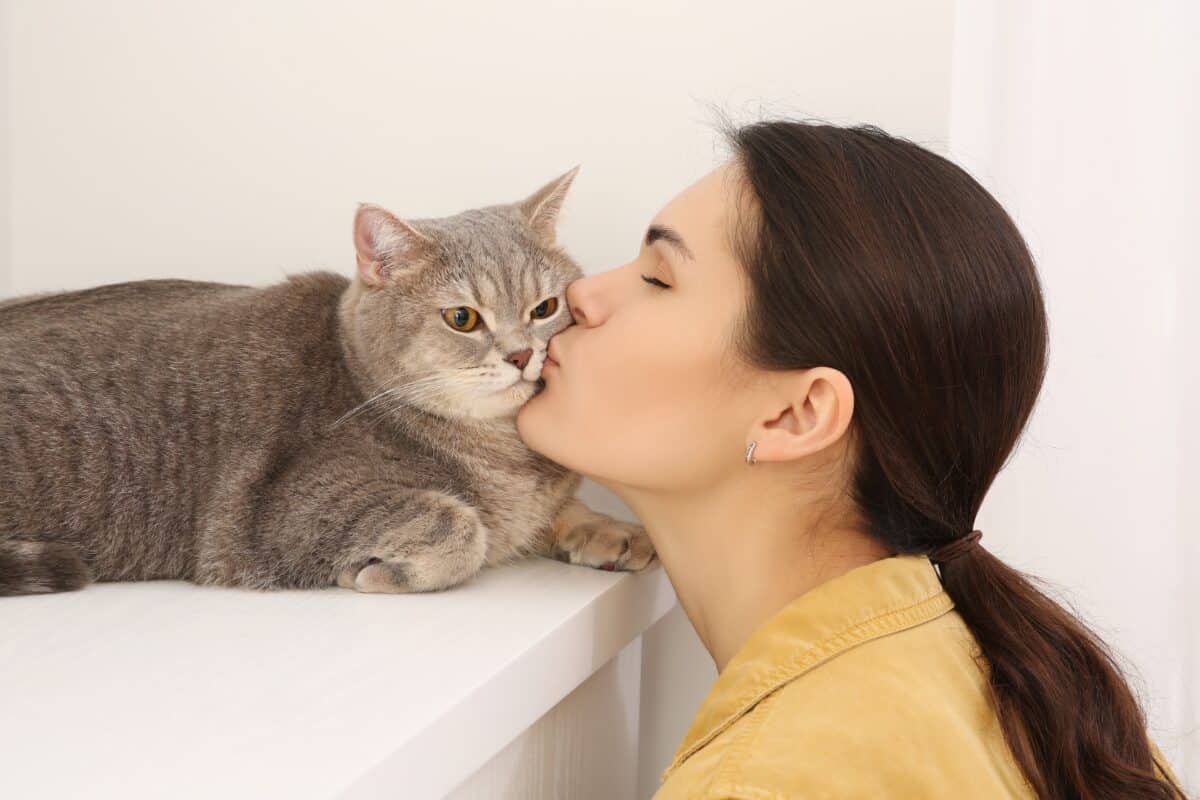 cat being kissed