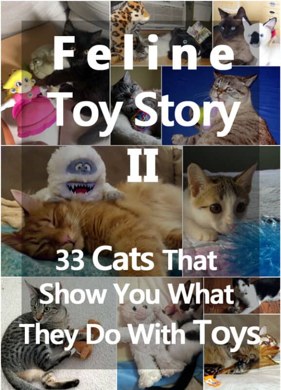 toy story II: 33 cats that show you what they do with toys