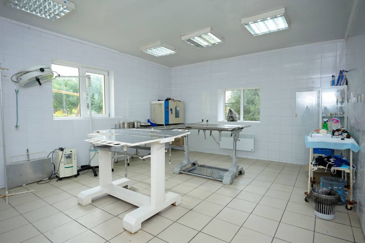 equipment set at the veterinary office