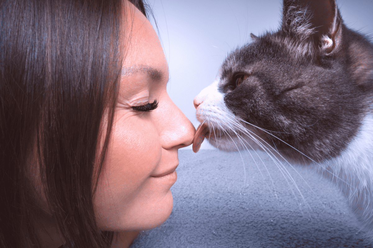 A cat is licking a woman's face