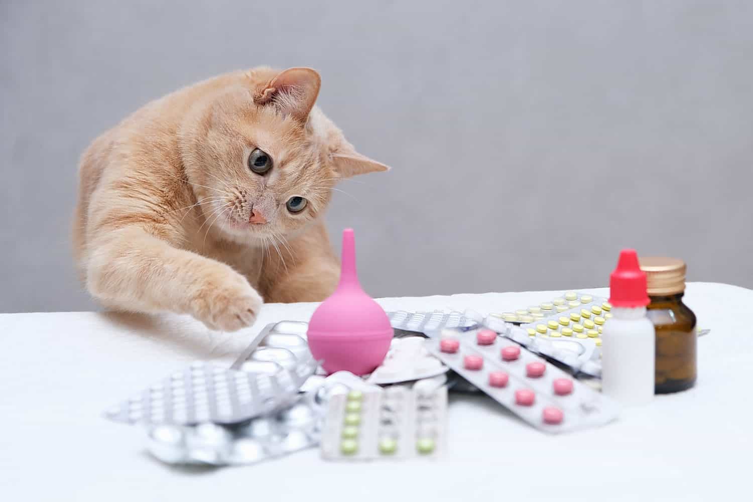 A red-haired cat sitting in front of a pile of medicines and playing with a rubber medical enema. Pet treatment concept.
