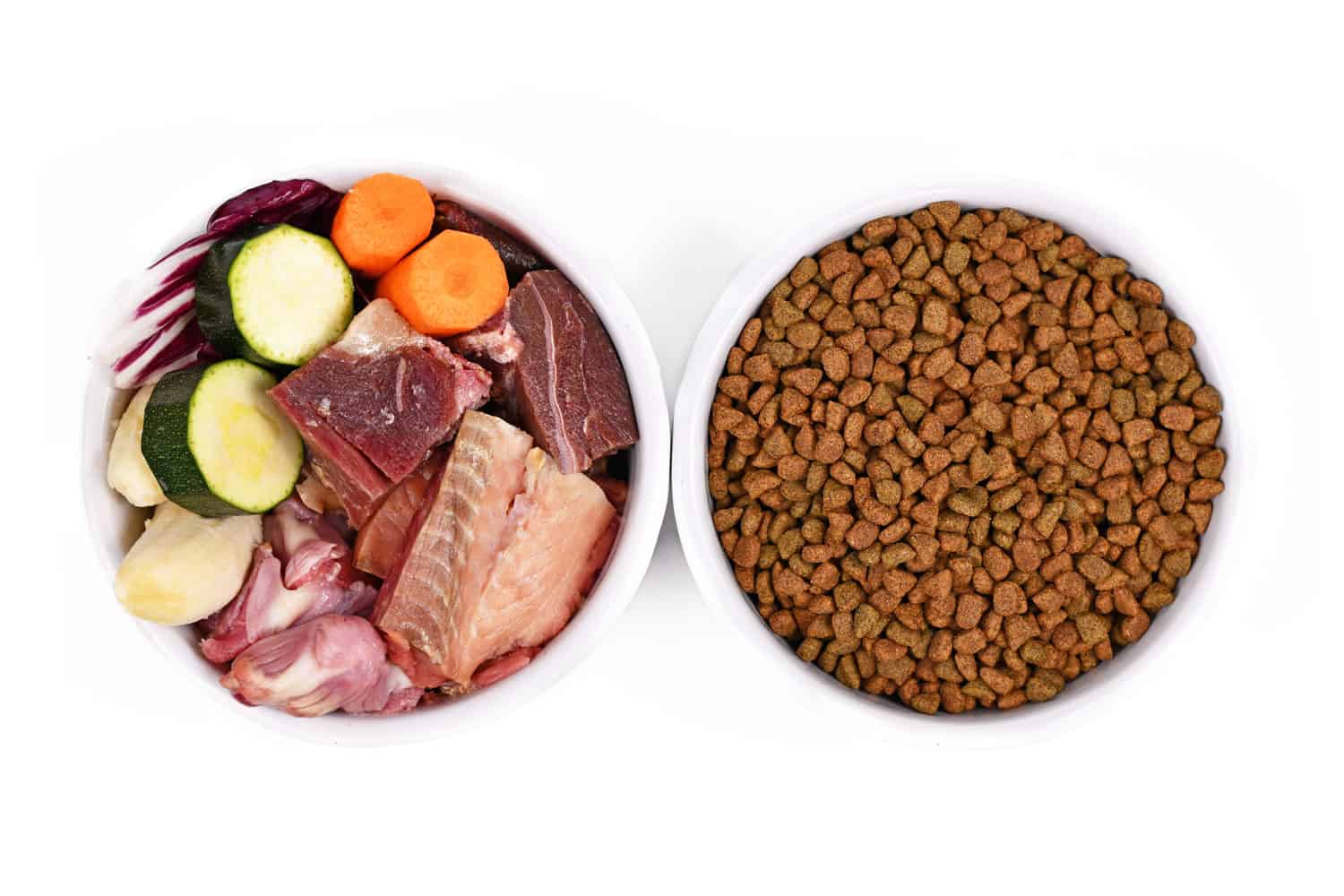 Dog food comparison with bowl with raw meat and vegetables, fish and fruits next to bowl with dried fodder kibbles on white background
