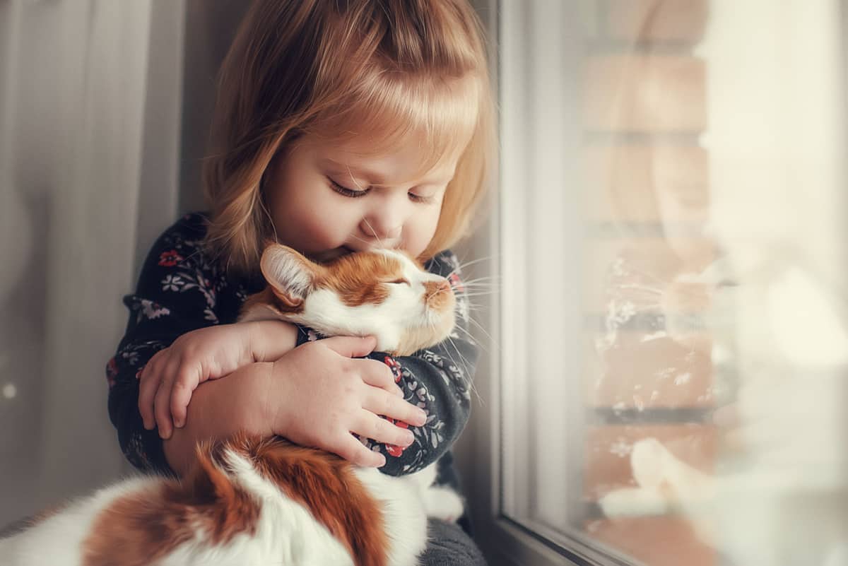 cute child embraces with tenderness and love a red cat - health benefits of living with a cat