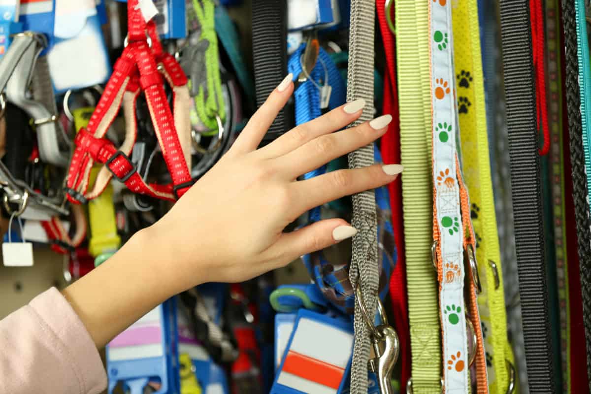 Hand of woman selecting harness and leash at the petshop -  harness and leash training for cats