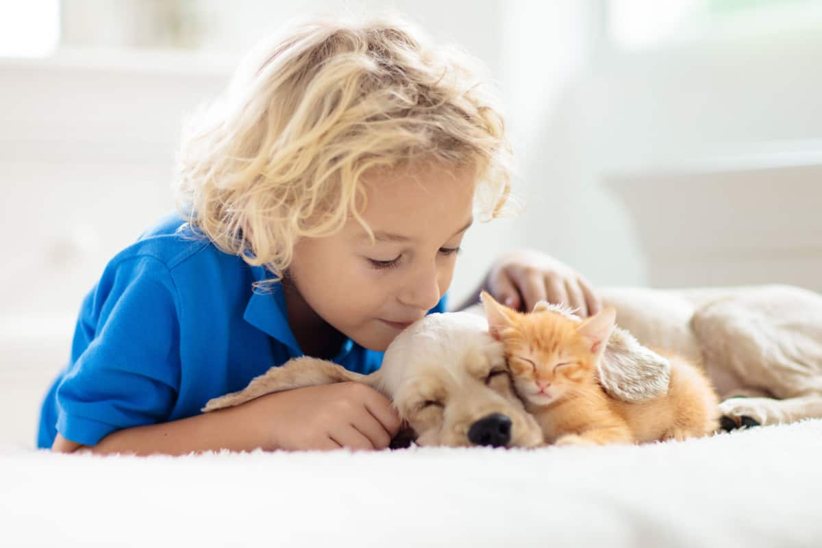 Child playing with baby dog and cat