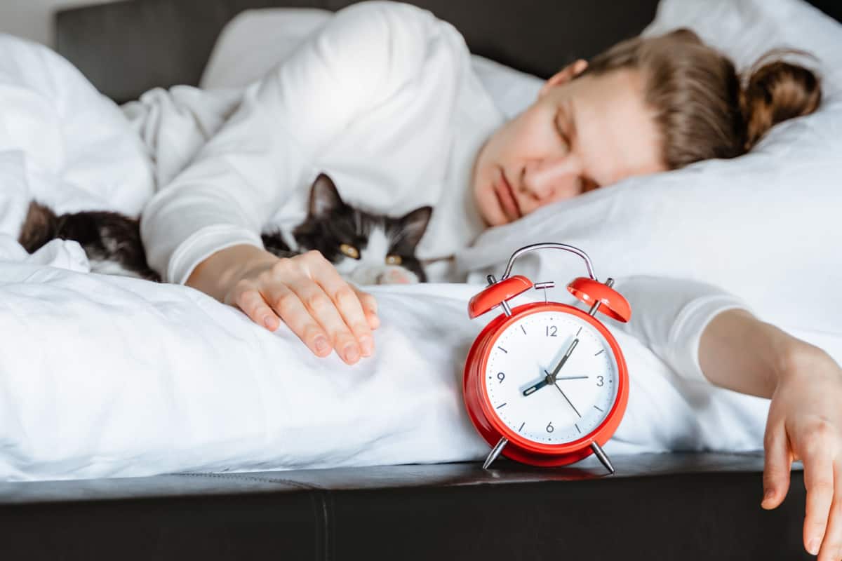 woman sleeping while pet cat is already awake on a white cozy bed with alarm clock on the side 