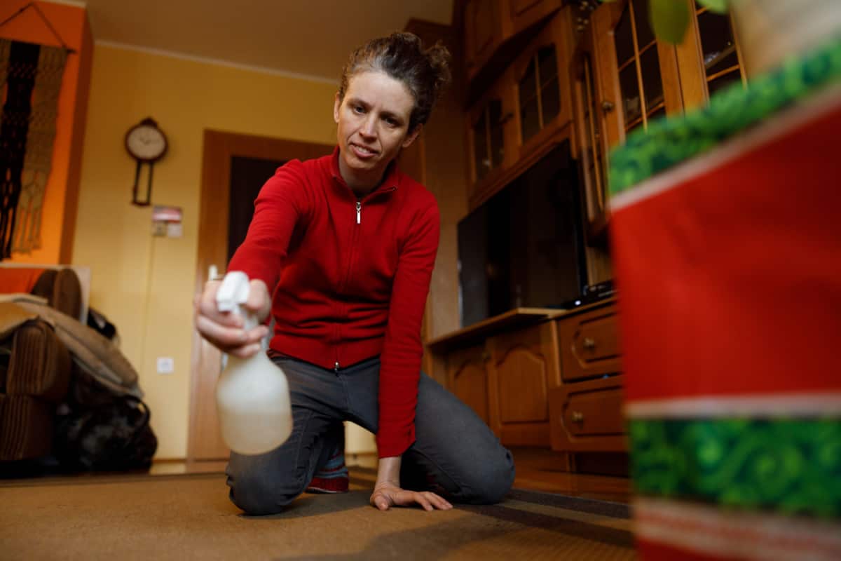 adult woman cleaning carpet after her cat pee on it