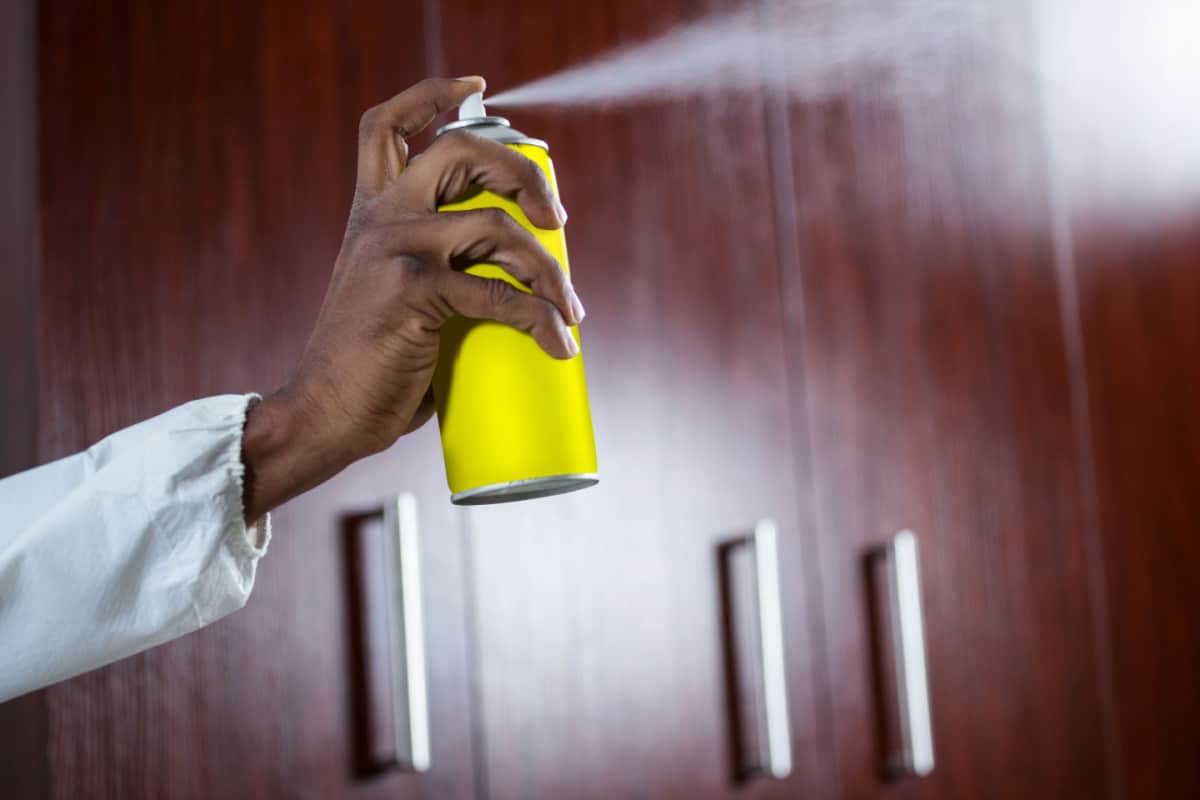 Hand spraying pesticide at home