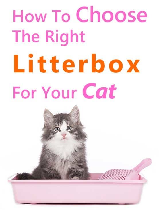 How to choose the right litterbox for your cat