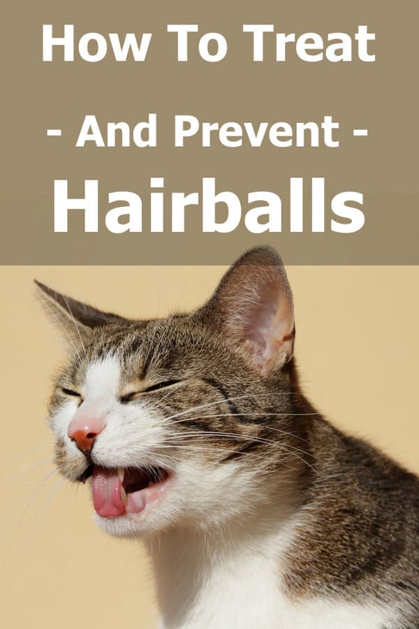 How to treat and prevent hairballs
