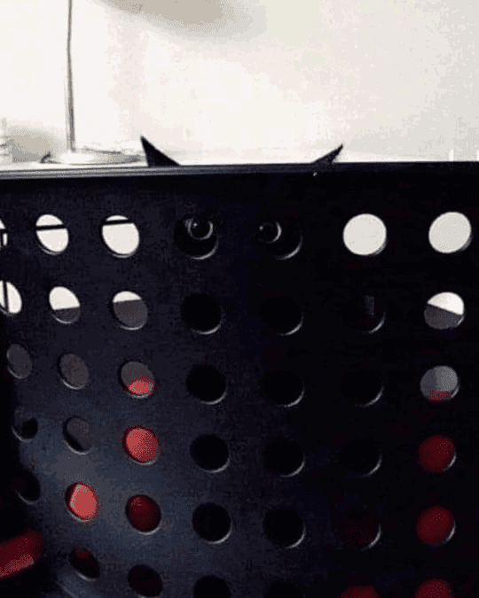 a black cat peeping on the holes of the black laundry basket