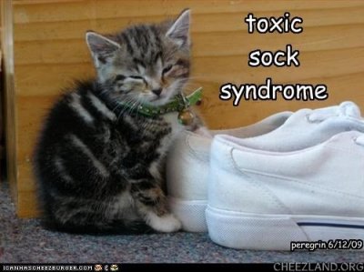 peregrin-toxic_sock_syndrome.jpg