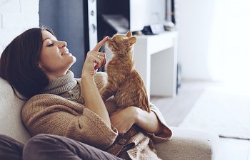 So You Want To Be A Cat Sitter