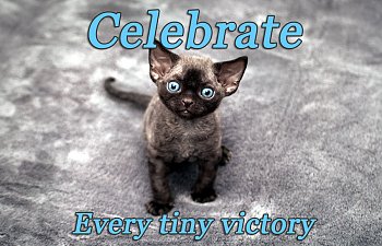 Celebrate Every Tiny Victory - Inspurrational Quote