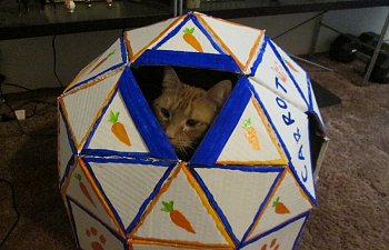 How To Build A Diy Cat Cave From Cardboard