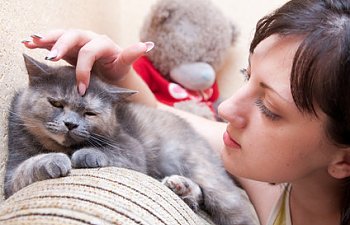 Living With Feline Cancer