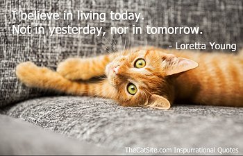 Living Today. Not In Yesterday, Nor In Tomorrow - Inspurrational Quote