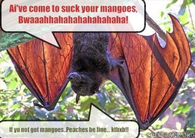 catslave1-suck_your_mangoes.jpg