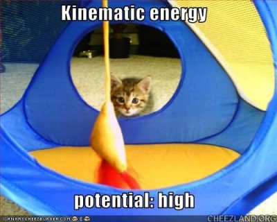 cattails-kinematic_energy.jpg