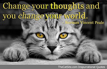 Change Your Thoughts - Inspurrational Quote
