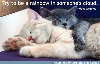 Try To Be A Rainbow In Someone's Cloud - Inspurrational Quote