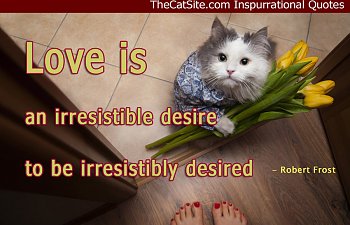Love Is An Irresistible Desire... Inpurrational Quote