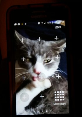 My phone screen.jpg