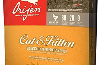 Orijen Cat Kitten Dry Cat Food.jpg