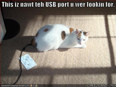 cattails-usb_port.jpg
