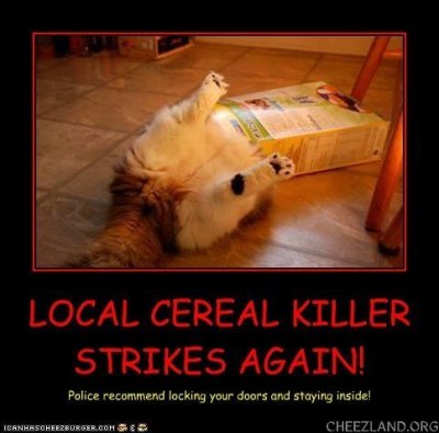 badd-local_cereal_killer.jpg