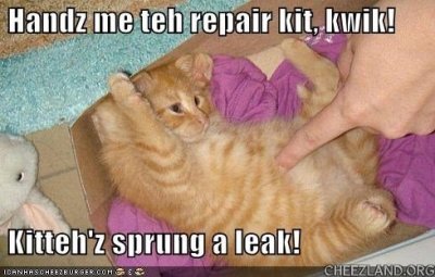cattails-kitteh_repair_kit.jpg