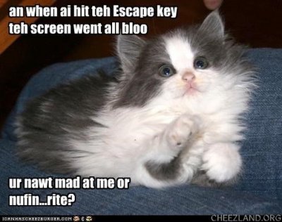 cattails-when_ai_hit_escape.jpg