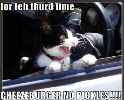 for-the-third-time-cheezburger-no-pickles-cat-giantgag_zpsoaub7enn.jpg