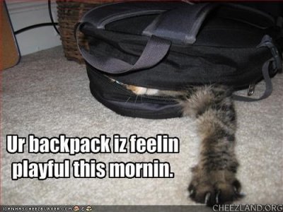cattails-backpack_playful.jpg
