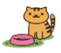 Cat and Bowl (M).gif