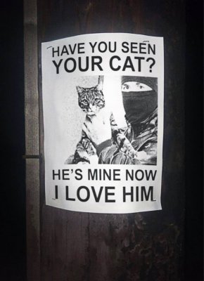cat-kidnap-Very-Clean-Funny-Pics-FB.jpg
