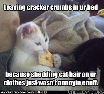 cattails-cracker_crumbs.jpg