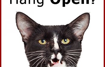 cat-mouth-open.jpg
