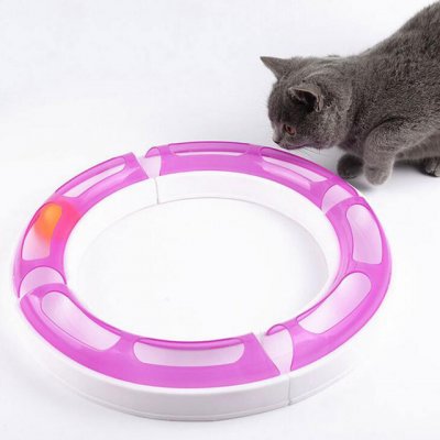 Circuit-Turbo-Track-Ball-Pet-Cat-Kitten-Sense-Play-Chase-Game.jpg_640x640.jpg