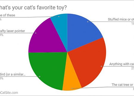 toy-survey.jpg