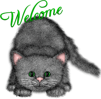 Gray Kitten Welcome.gif
