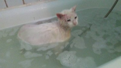 murphy bath.jpg