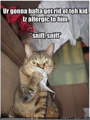 cattails-allergic.jpg